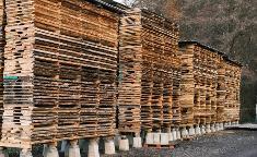 Schnittholz Sonstiges Holz Eiche, Esche, Nuss, Kirsch..