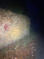 Brennholz Esche, Eiche, Buche