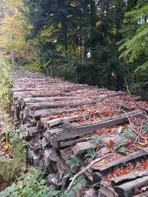 Brennholz Brennholz Esche, Buche