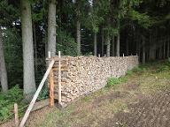 Brennholz Birke