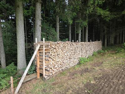 Brennholz Birke