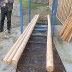 Rundholz Fichte Rundlinge, Astln