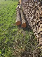 Rundholz Kastanie Marz