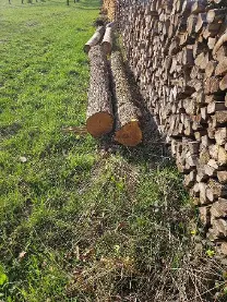 Rundholz Rundholz Kastanie