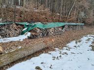 Brennholz Fichte, Eiche, Kiefer Kirchbach-Zerlach 