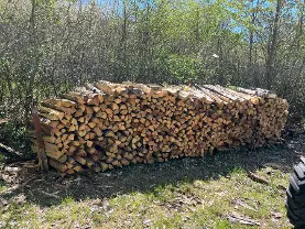 Brennholz Brennholz Fichte, Kiefer, Buche