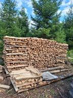 Brennholz Buche