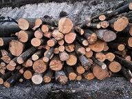 Rundholz Buche Brennholz Bad Eisenkappel