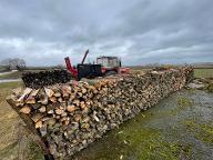 Brennholz Fichte, Esche, Ahorn