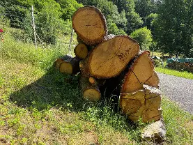 Rundholz Rundholz Eiche