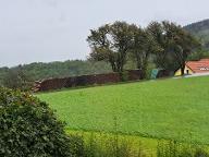 Brennholz Esche, Eiche, Buche St. Peter in der Au