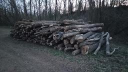 Rundholz Esche Akazie ist auch dabei Ottenthal