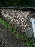 Brennholz Buche