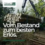 ad Wald besitzen ohne Arbeit