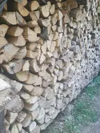Brennholz Buche Lohr a