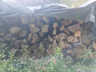 Rundholz Buche Brennholz, vorgespalten Nötsch