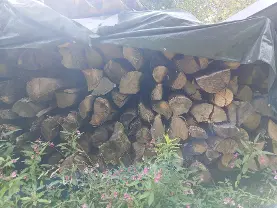 Rundholz Rundholz Buche Brennholz, vorgespalten