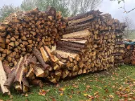Brennholz Fichte Denkingen