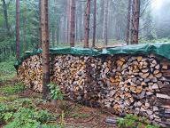 Brennholz Esche, Buche, Kastanie Gemischt