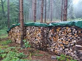 Brennholz Brennholz Esche, Buche, Kastanie Gemischt