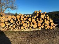 Rundholz Birke Neumarkt 