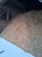 Hackgut Weichholz (>90%) Esternberg