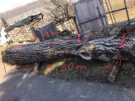 Rundholz Nuss sankt Anna am Aigen