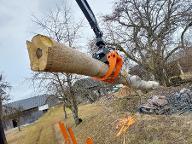 Rundholz Nuss Rohrbach-Berg