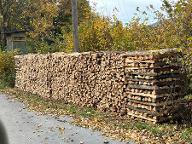 Brennholz Buche Astrein