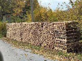 Brennholz Brennholz Buche Astrein