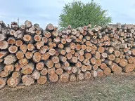 Brennholz Sonstiges Holz Neusiedl am See