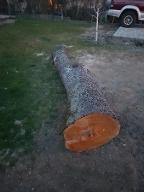 Rundholz Birne Breitenfurt