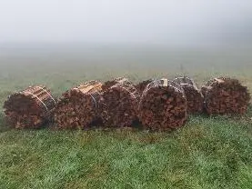 Brennholz Brennholz Fichte, Erle
