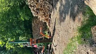 Brennholz Brennholz Esche
