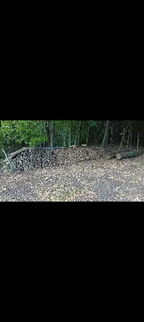 Brennholz Brennholz Esche
