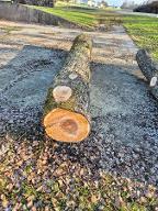 Rundholz Birne Schlatt