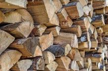Brennholz Eiche, Ahorn, Buche