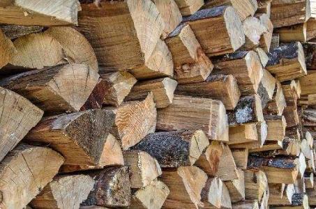 Brennholz Eiche, Ahorn, Buche