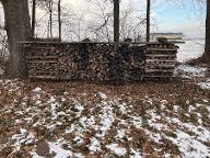 Brennholz Esche, Ahorn, Erle