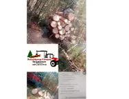 Holzschlägerung und Bringung Eggenberger Gastern