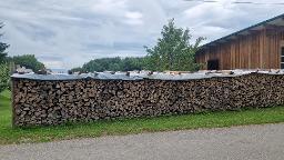 Brennholz Buche