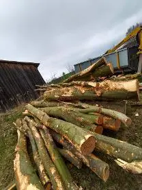 Brennholz Brennholz Buche