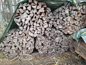 Brennholz Brennholz Buche Holzbündel