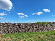 Brennholz Esche Friedersbach
