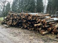 Rundholz Buche