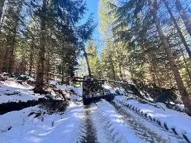 Dienstleistung Forstservice Lerchbaumer