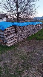 Brennholz Fichte