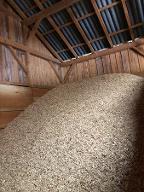 Hackschnitzel Hackgut Weichholz (>90%)