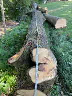 Rundholz Birne Eitweg