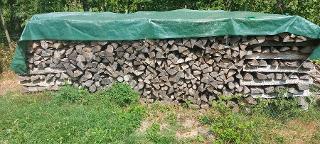 Brennholz Esche, Erle